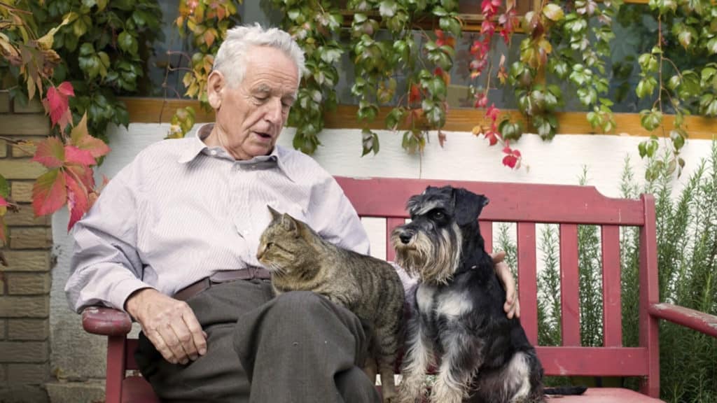 Older Adults and Pets: Furry Friends with Amazing Benefits