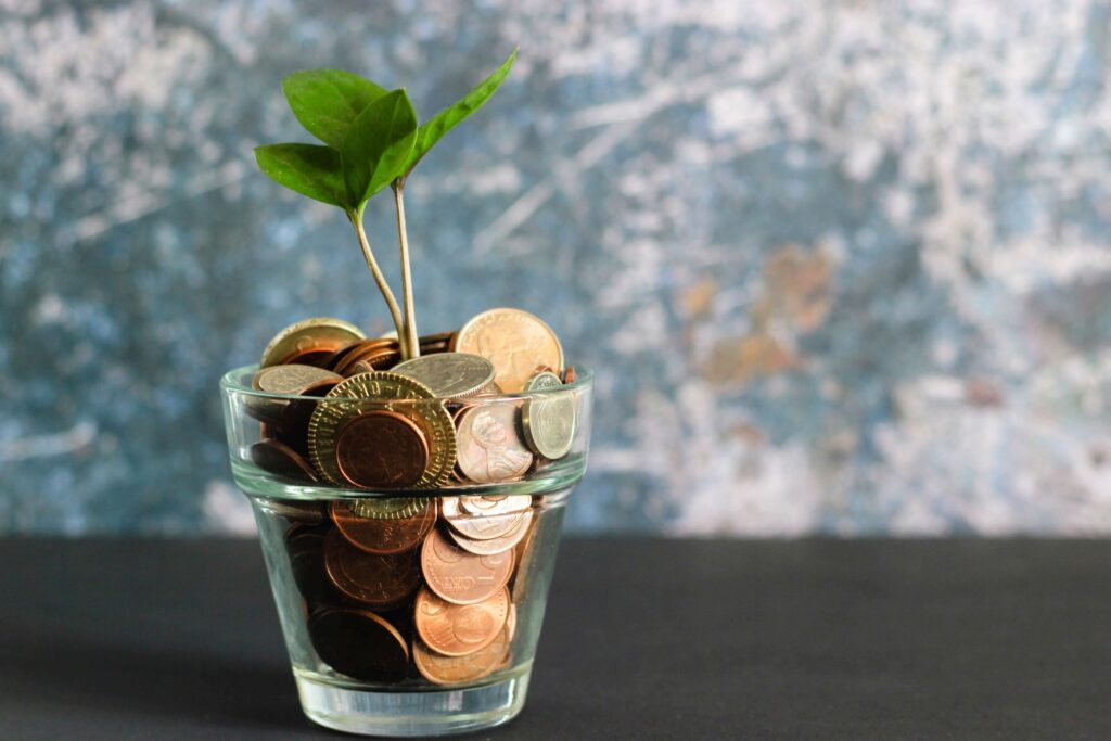 Small four leaf flower with coins in the pot
