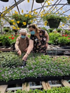 Two people shopping for flowers