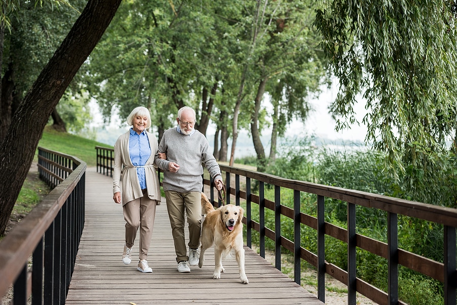 A senior couple walking outside with their dog