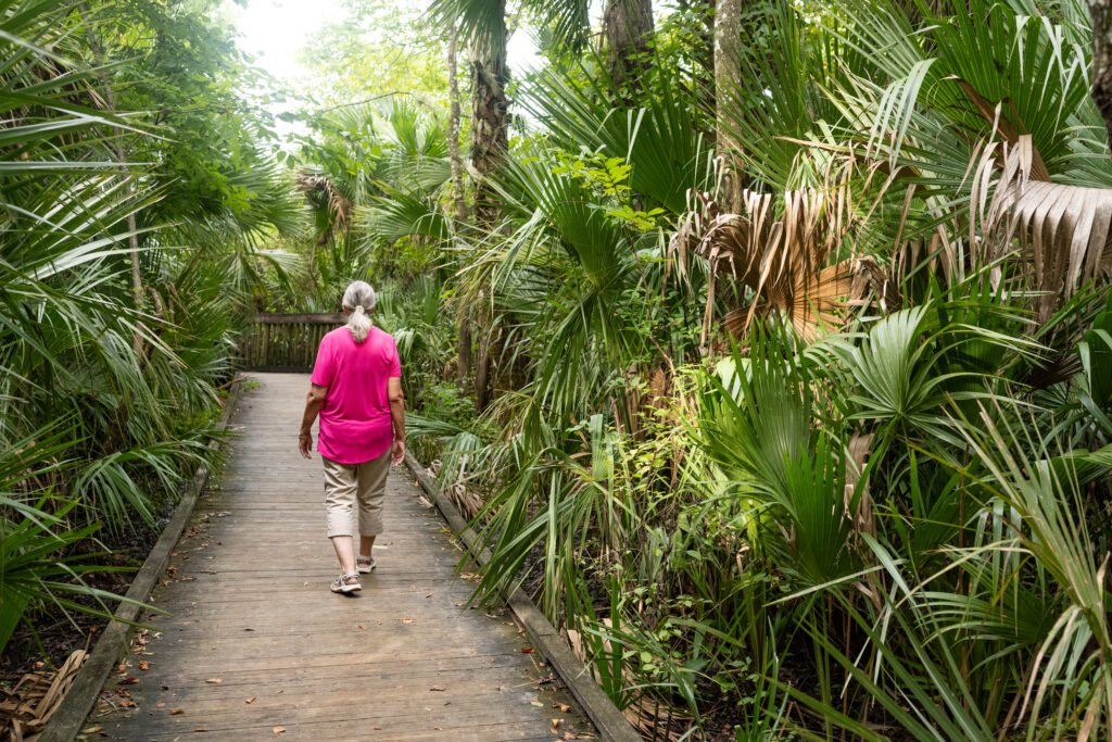 This is a photograph of senior Puerto Rican Woman in her 70’s walking on a wooden boardwalk through the dense tropical forest in Wekiva Springs State Park in Apopka, Florida on a summer day.