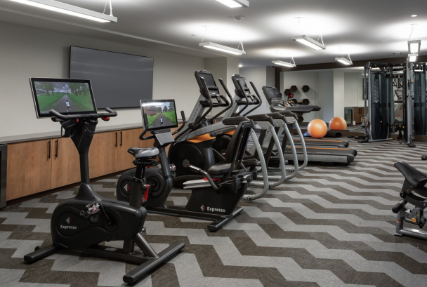 halcyon workout room