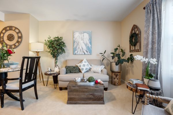 Fully furnished living room