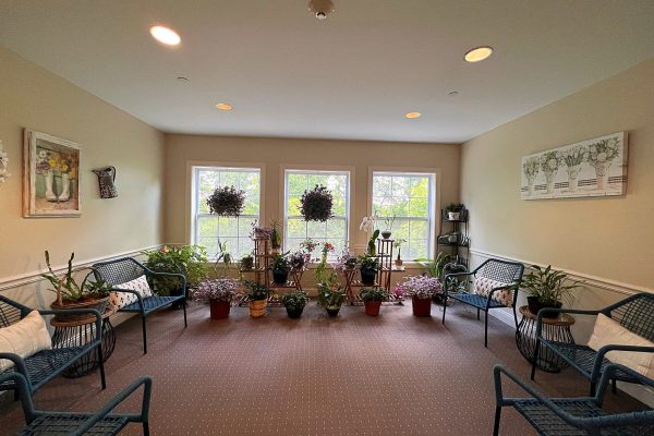 Sunroom with lots of plants