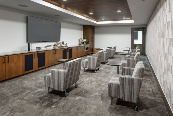 halcyon theatre room