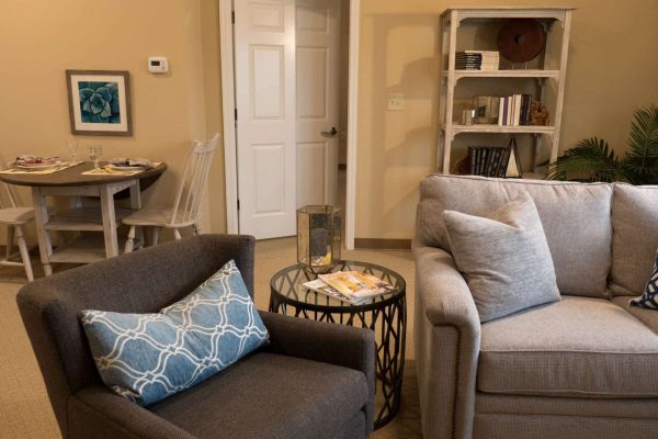 Model living room with sofas