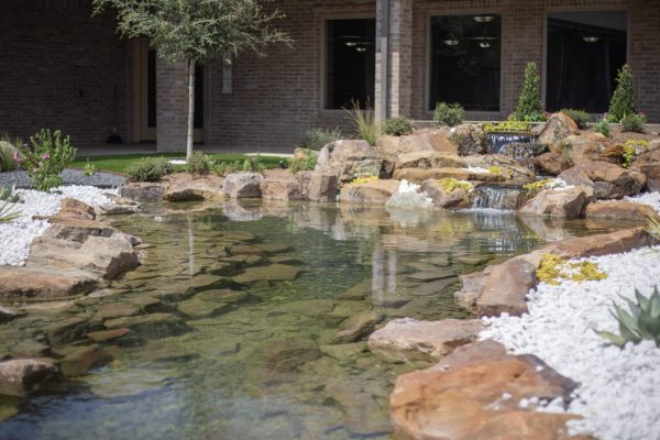 TXS Courtyard-2
