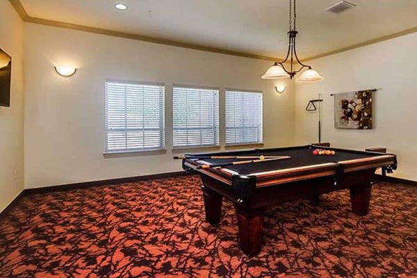 Game room with billard table